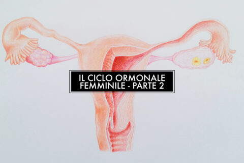 Il ciclo femminile – Alimentazione e consigli pratici – parte 2