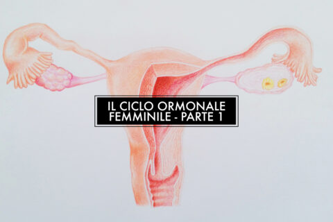Il ciclo femminile – Alimentazione e consigli pratici – parte 1