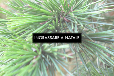 Ingrassare a Natale è inevitabile?
