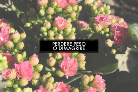 Perdere peso o dimagrire?